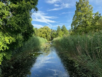 Photo of Beautiful trees and river in park at summer