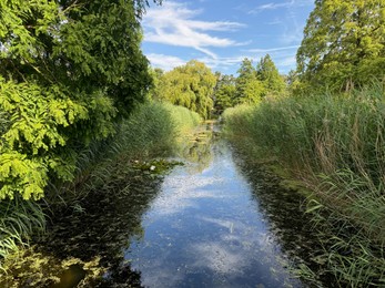Photo of Beautiful trees and river in park at summer