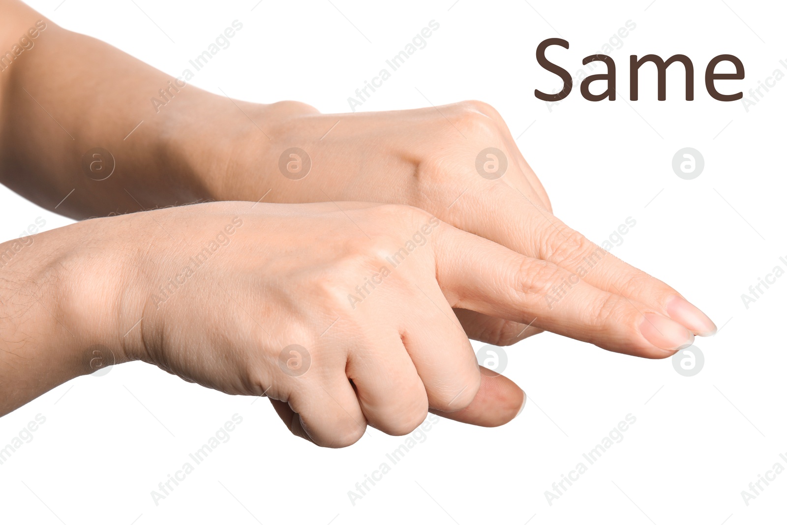 Image of Woman showing word Same on white background, closeup. Sign language