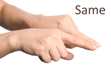 Image of Woman showing word Same on white background, closeup. Sign language