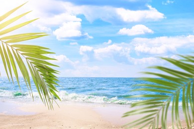 Image of Green palm leaves on tropical beach. Ocean waves rolling on sand