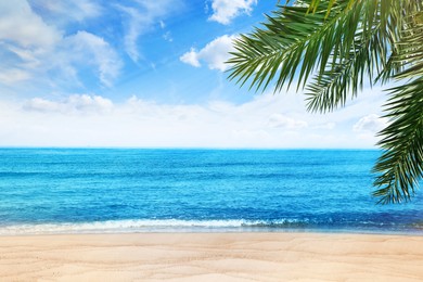 Image of Green palm leaves on tropical beach. Ocean waves rolling on sand