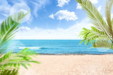 Image of Green palm leaves on tropical beach. Ocean waves rolling on sand