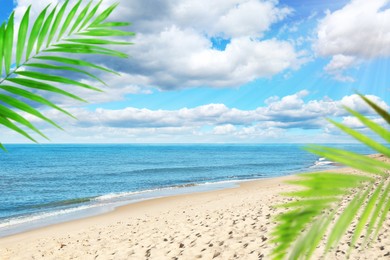 Image of Green palm leaves on tropical beach. Ocean waves rolling on sand