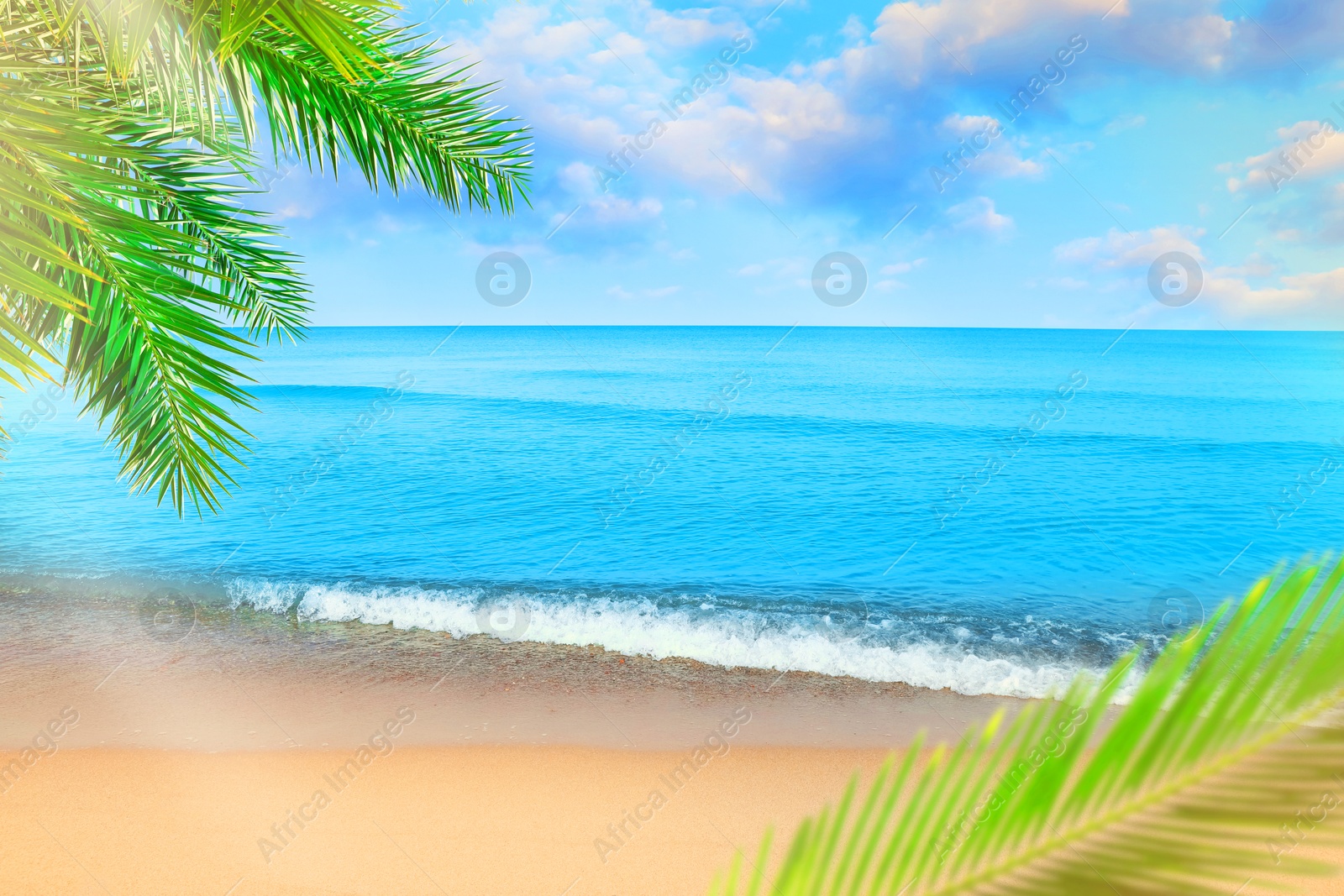 Image of Green palm leaves on tropical beach. Ocean waves rolling on sand