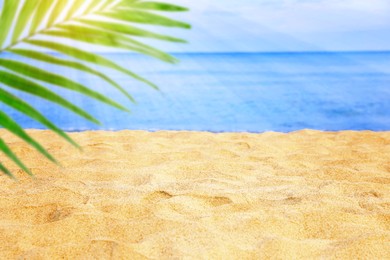 Image of Sun shining through palm leaf on tropical beach. Golden sand and blue sea