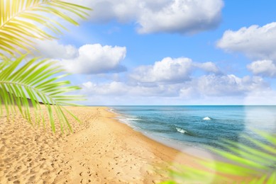 Image of Sun shining through palm leaves on tropical beach. Sea waves rolling on golden sand