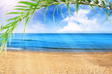 Image of Tropical beach with golden sand, green palm leaf and blue sea