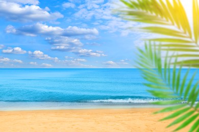Image of Green palm leaves on tropical beach. Ocean waves rolling on sand