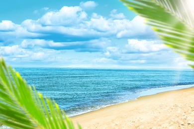 Image of Green palm leaves on tropical beach. Ocean waves rolling on sand