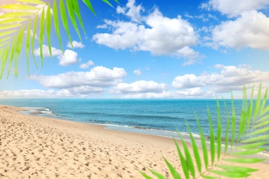 Image of Green palm leaves on tropical beach. Ocean waves rolling on sand