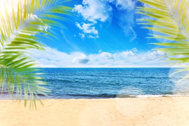 Image of Green palm leaves on tropical beach. Ocean waves rolling on sand