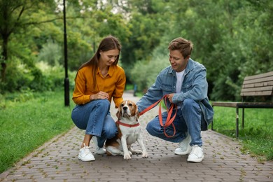 Photo of Couple spending time with adorable Beagle dog in park