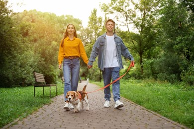 Photo of Couple walking with adorable Beagle dog in park, low angle view
