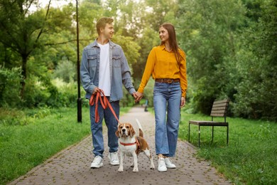 Photo of Couple walking with adorable Beagle dog in park