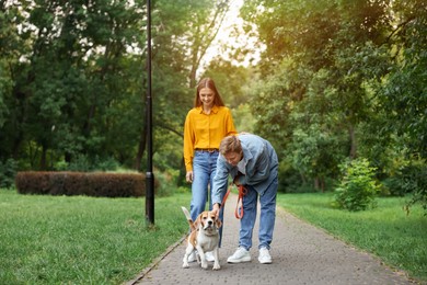 Photo of Couple walking with adorable Beagle dog in park
