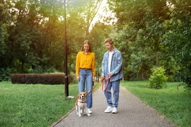 Photo of Couple walking with adorable Beagle dog in park
