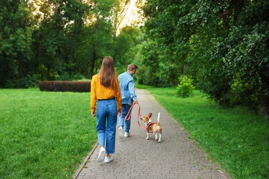 Photo of Couple walking with adorable Beagle dog in park