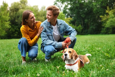 Photo of Couple spending time with adorable Beagle dog outdoors
