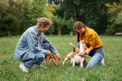 Photo of Couple spending time with adorable Beagle dog outdoors