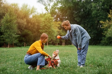 Photo of Couple spending time with adorable Beagle dog outdoors