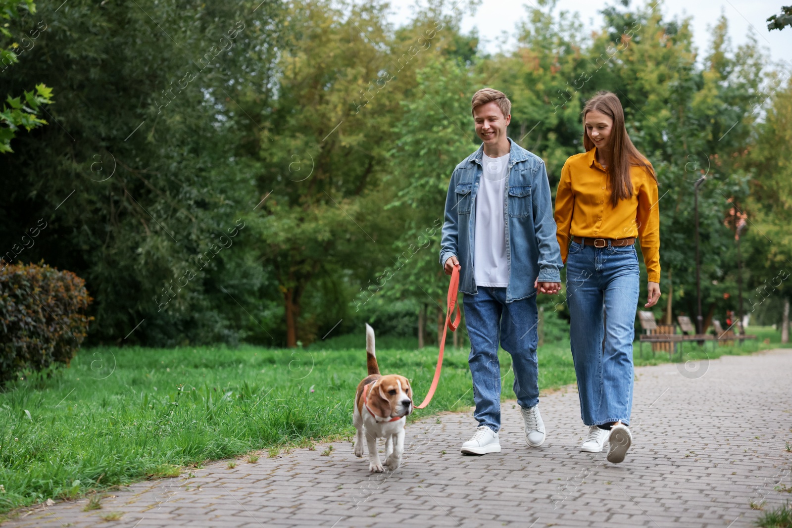 Photo of Couple walking with adorable Beagle dog in park. Space for text