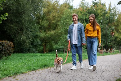 Photo of Couple walking with adorable Beagle dog in park. Space for text