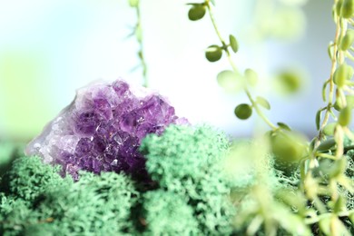 Photo of Healing stone on green moss against blurred background, closeup