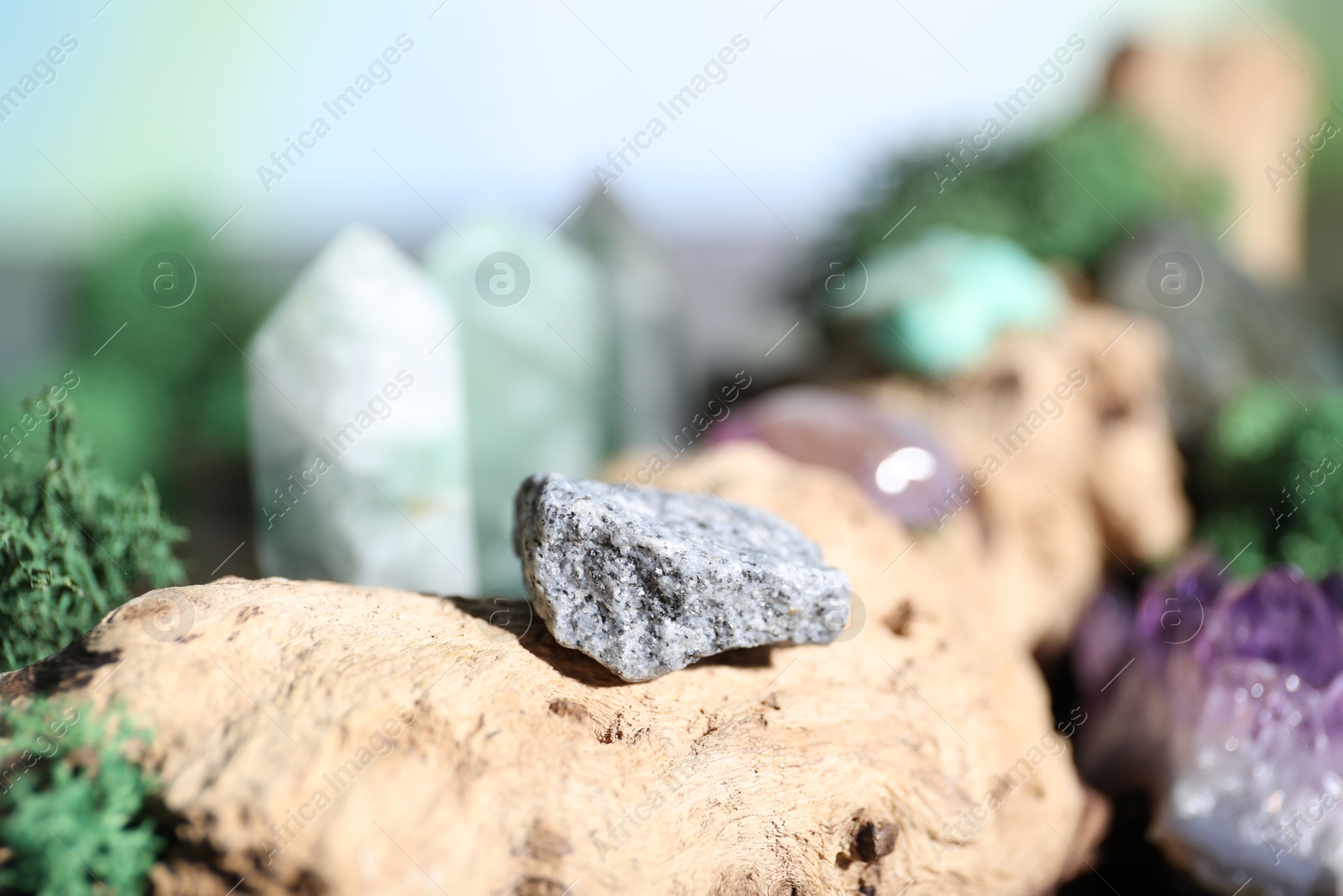 Photo of Healing stones and green moss on wood, closeup
