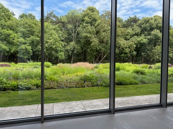 Photo of Beautiful green trees and other different plants under blue sky, view through panoramic windows