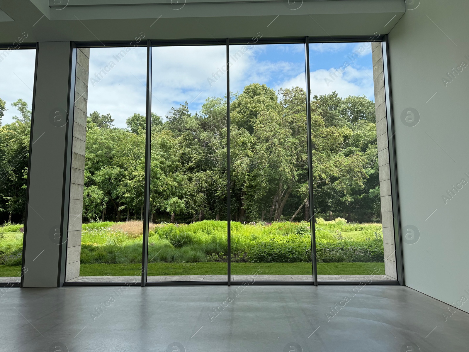Photo of Beautiful green trees and other different plants under blue sky, view through panoramic windows