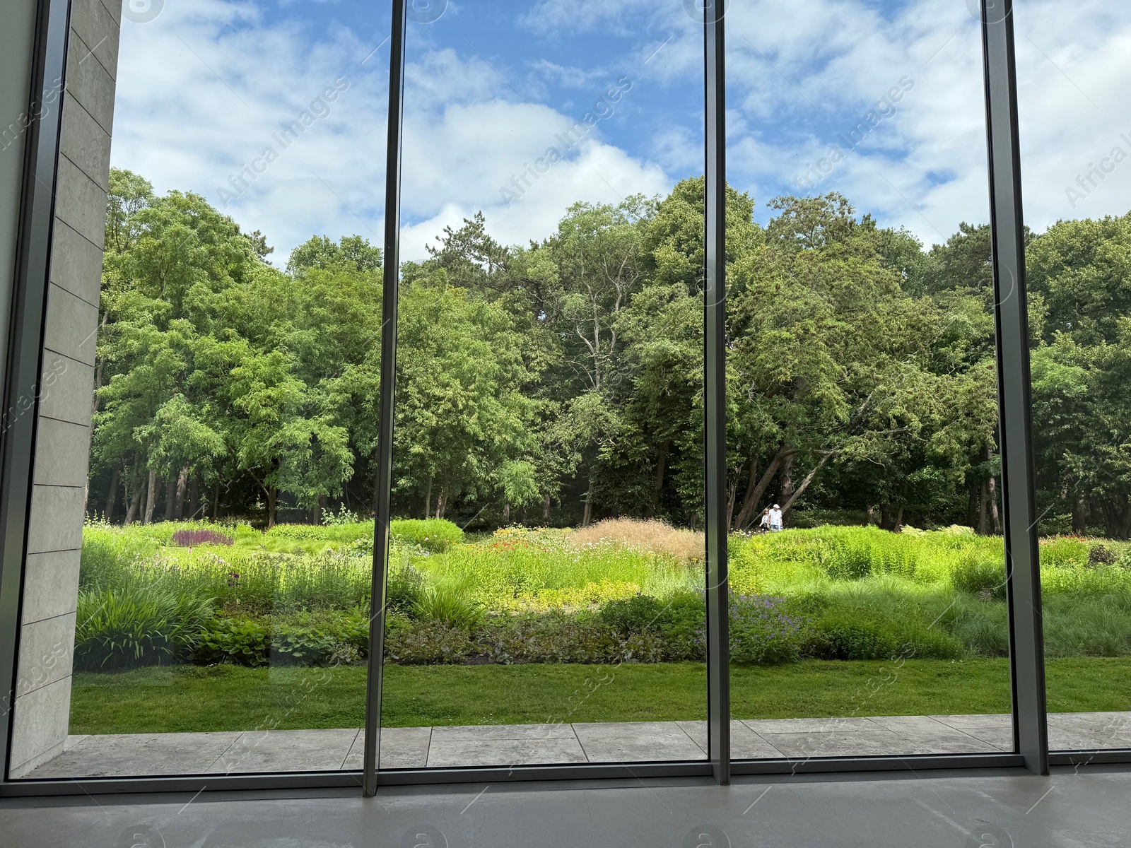 Photo of Beautiful green trees and other different plants under blue sky, view through panoramic windows