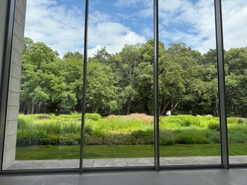 Photo of Beautiful green trees and other different plants under blue sky, view through panoramic windows