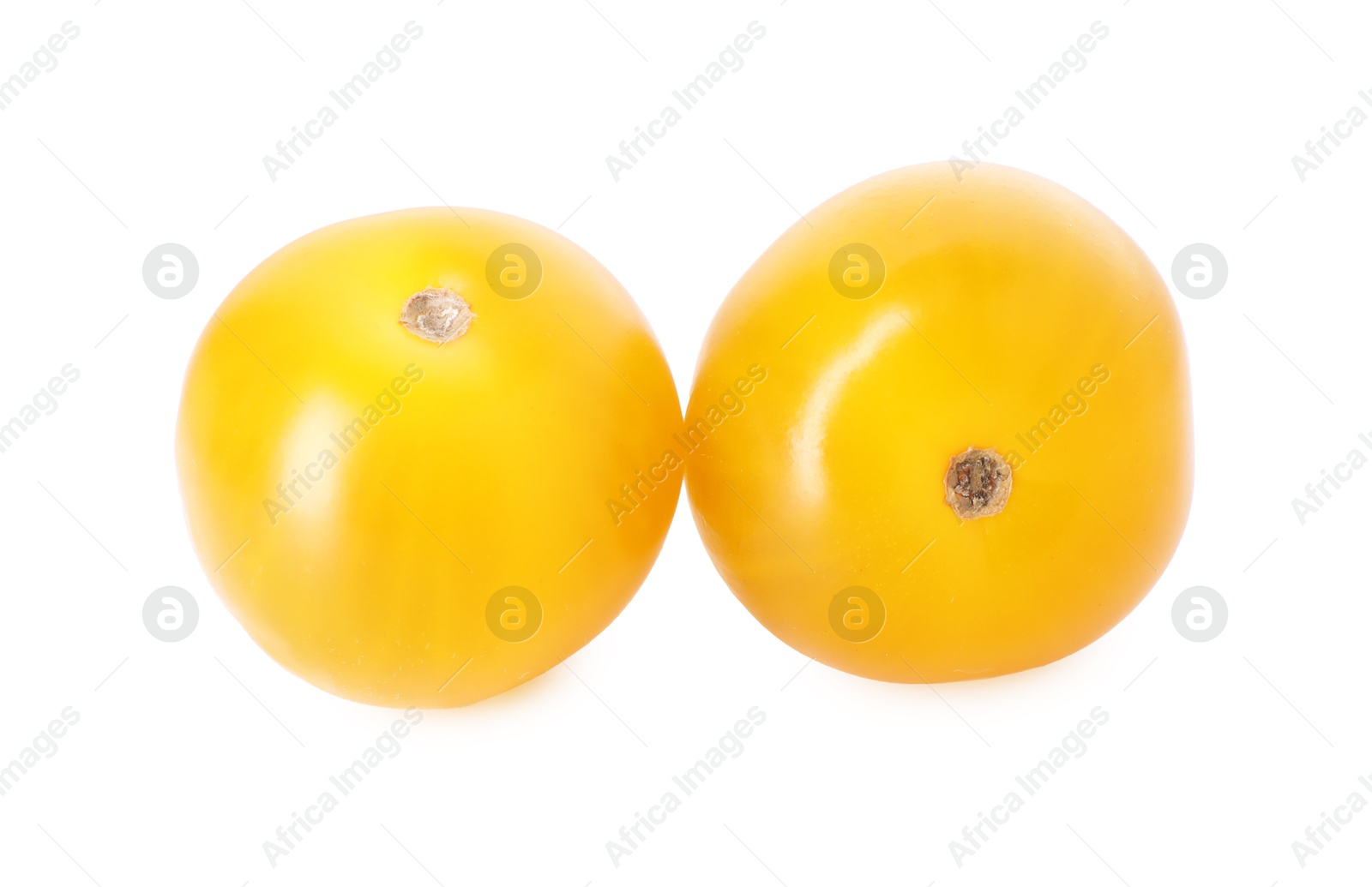 Photo of Two ripe yellow tomatoes isolated on white