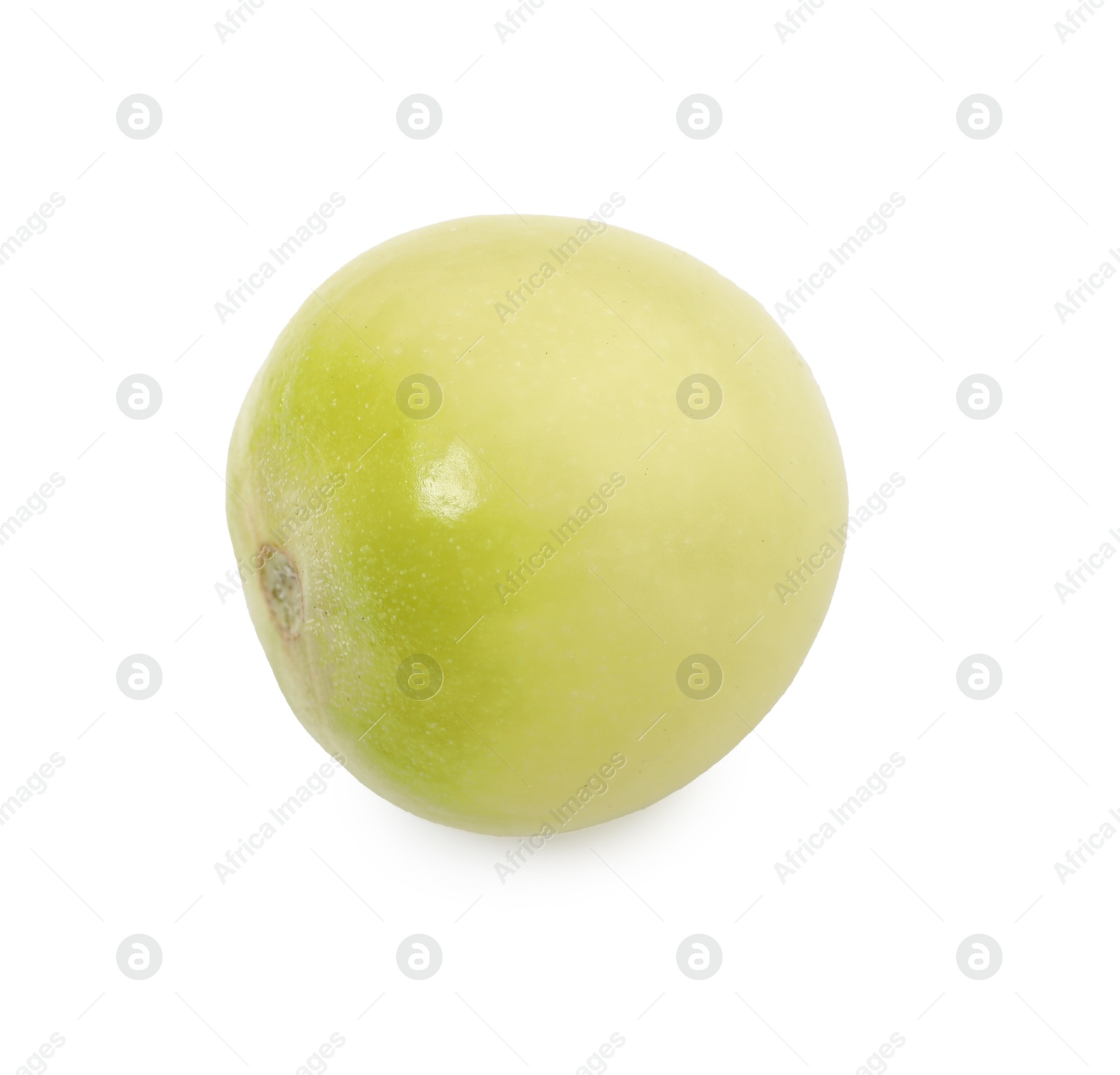 Photo of One ripe green tomato isolated on white