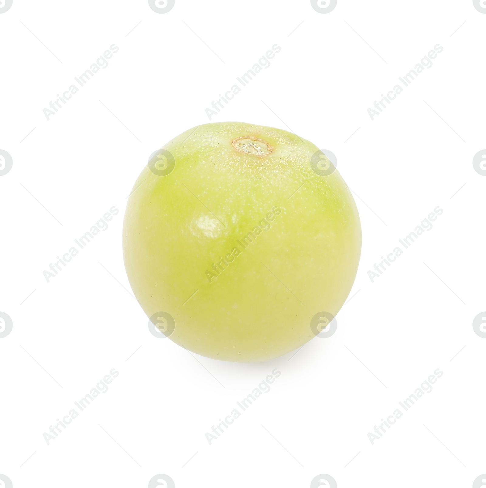 One ripe green tomato isolated on white Photo of One ripe green tomato isolated on white