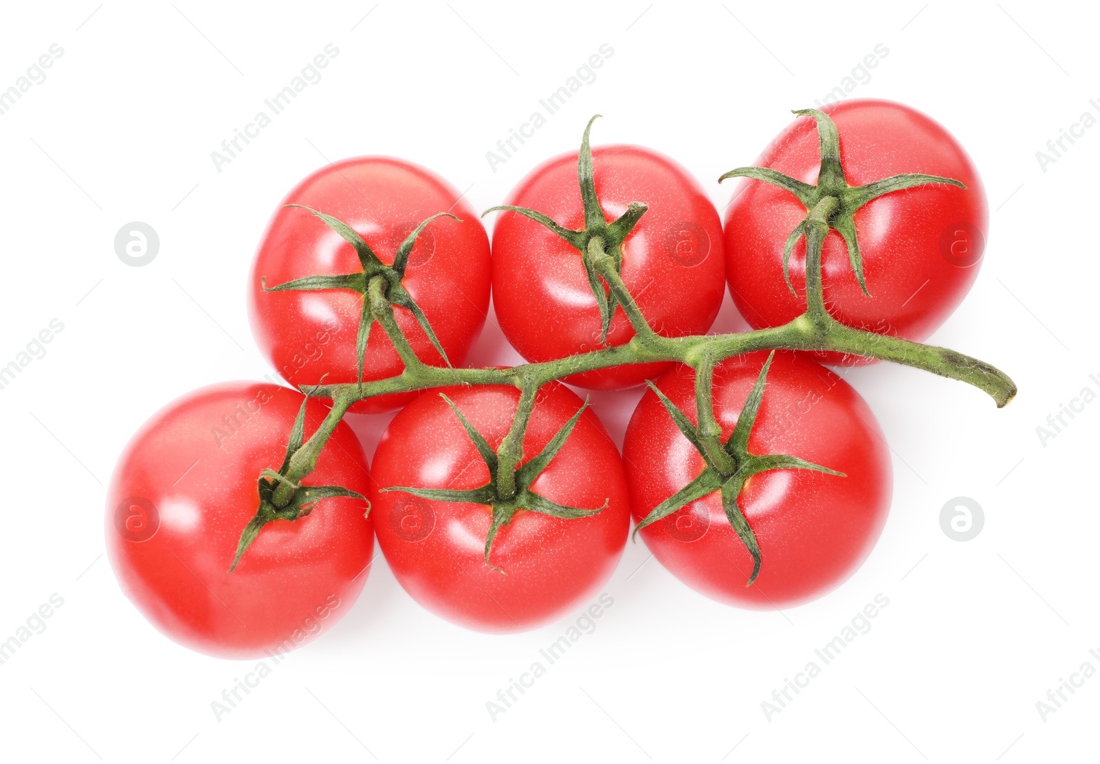 Photo of Branch of ripe red tomatoes isolated on white, top view