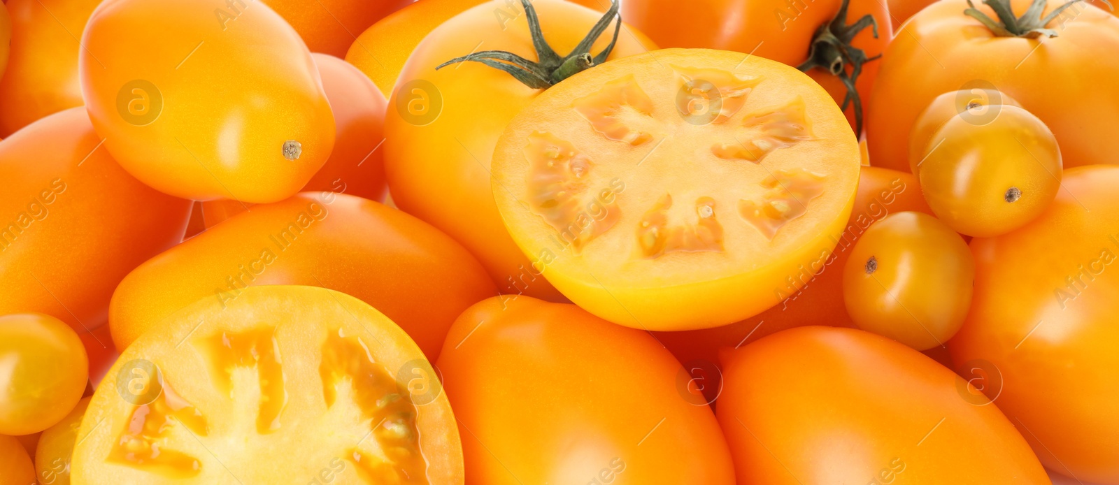 Photo of Many ripe yellow tomatoes as background, closeup