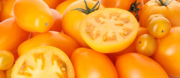 Photo of Many ripe yellow tomatoes as background, closeup