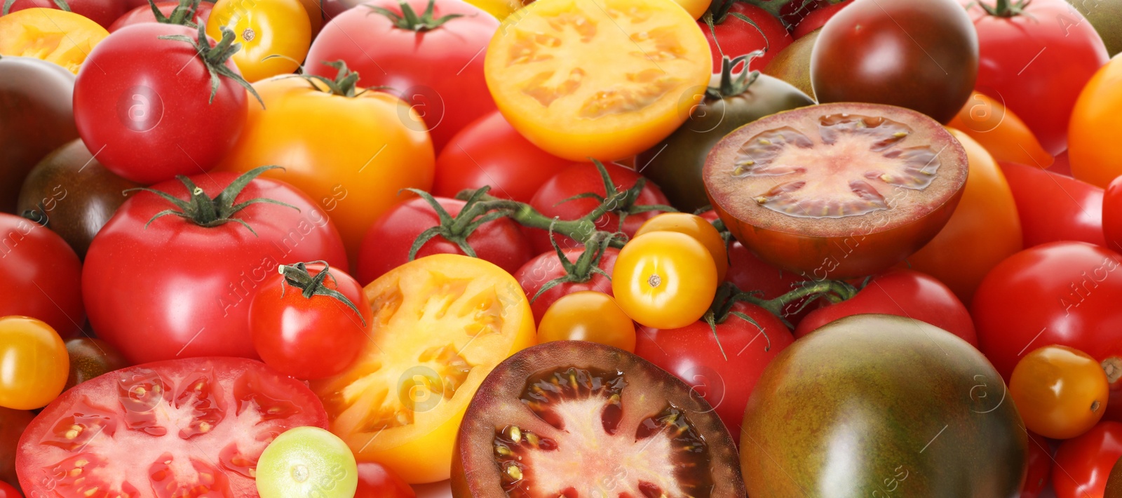 Photo of Different ripe juicy tomatoes as background, closeup
