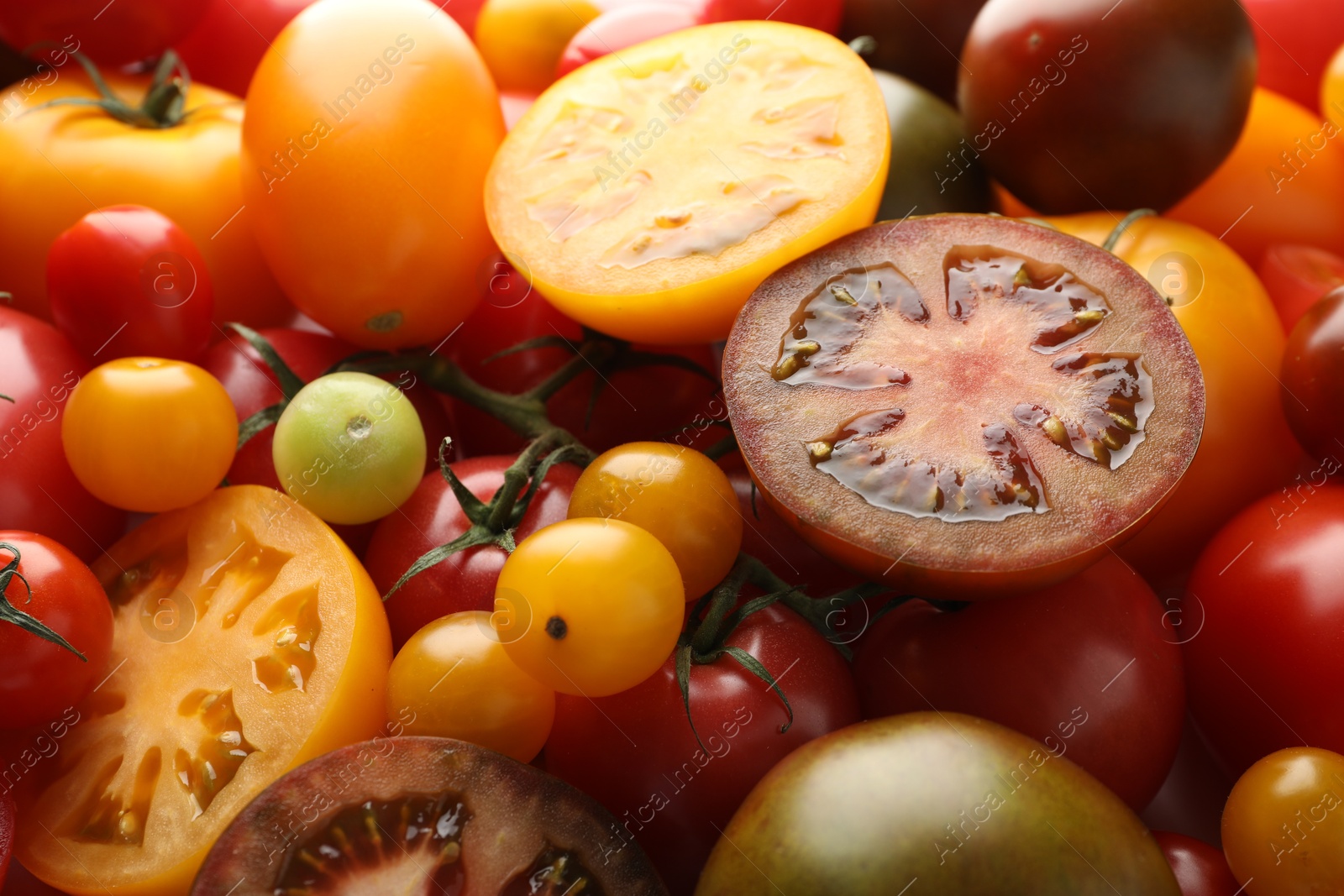 Photo of Different ripe juicy tomatoes as background, closeup