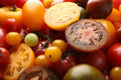 Photo of Different ripe juicy tomatoes as background, closeup