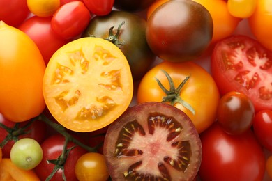 Photo of Different ripe juicy tomatoes as background, closeup