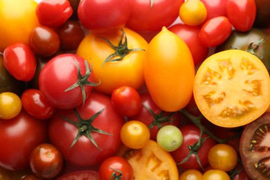 Photo of Different ripe juicy tomatoes as background, closeup