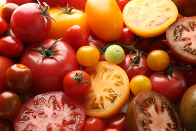 Photo of Different ripe juicy tomatoes as background, closeup