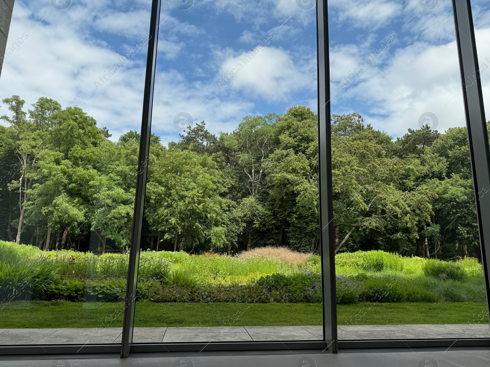 Photo of Beautiful green trees and other different plants under blue sky, view through panoramic windows