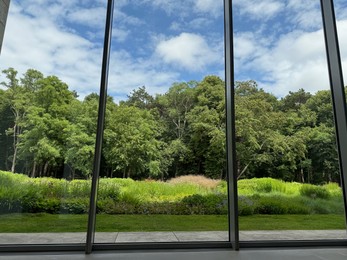 Photo of Beautiful green trees and other different plants under blue sky, view through panoramic windows