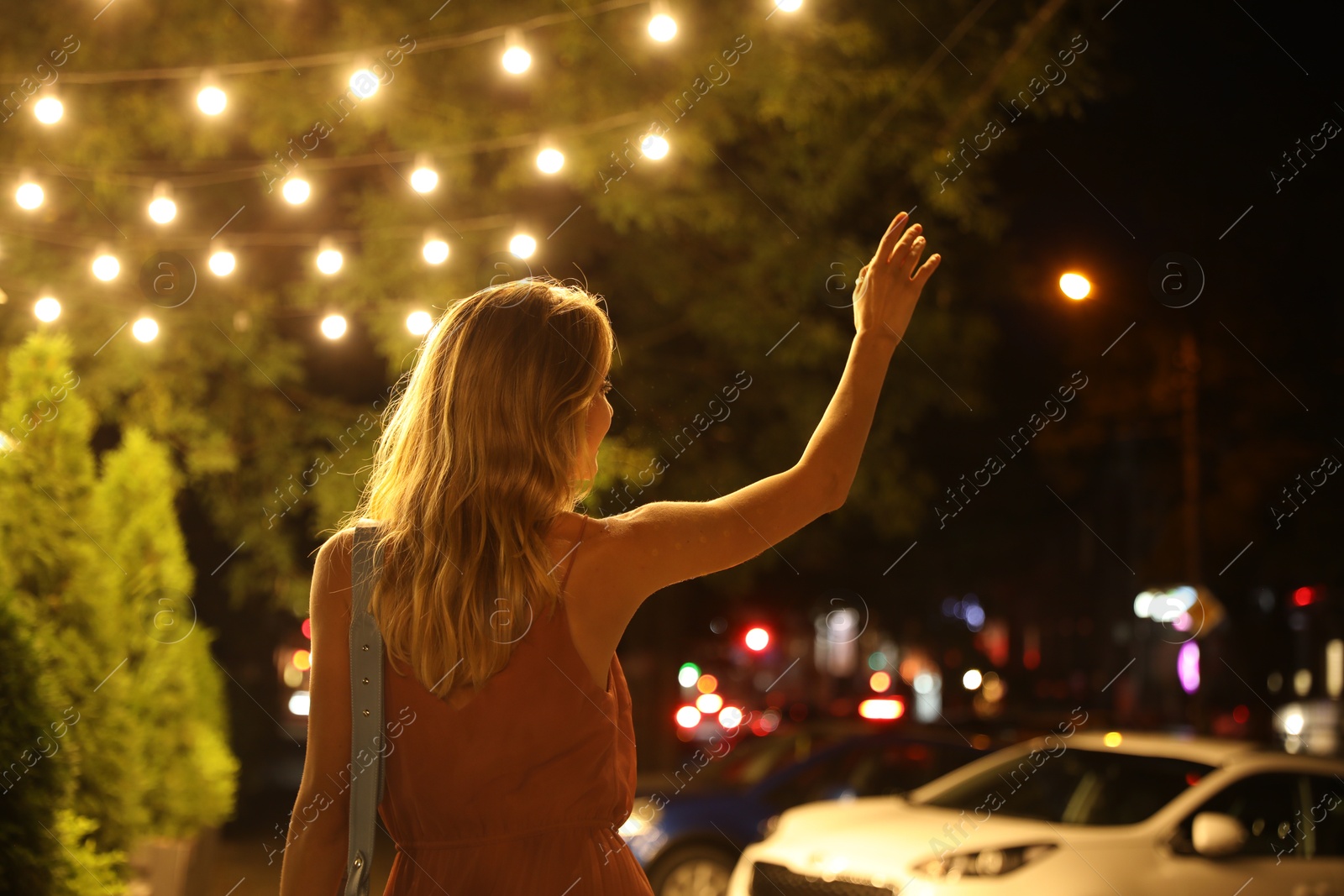 Young woman catching taxi on city street at night, back view Photo of Young woman catching taxi on city street at night, back view