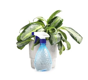 Photo of Beautiful Dieffenbachia plant in flowerpot and spray bottle isolated on white