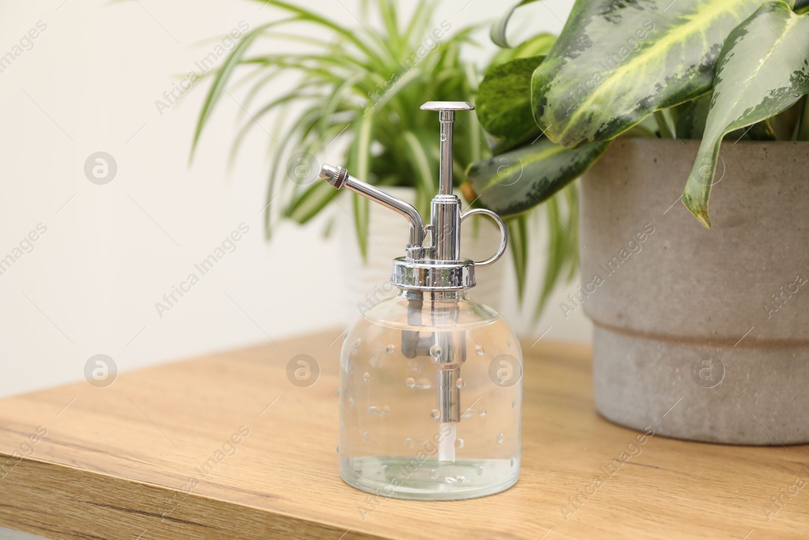 Photo of Spray bottle and different houseplants on wooden table indoors, closeup
